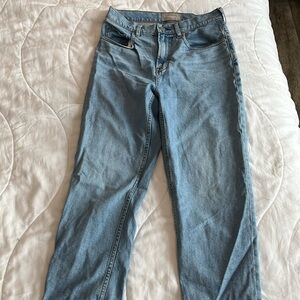 Everlane Cheeky Jean